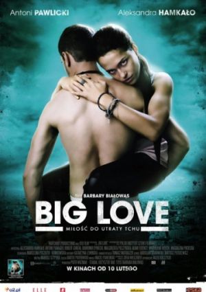 Большая любовь (2012)