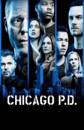 Полиция Чикаго (Полицейский департамент Чикаго) (6 сезон)