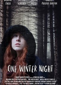 Однажды зимней ночью (2019)