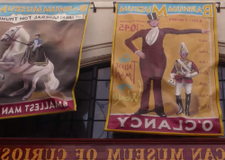 скачать торренты лучших фильмов