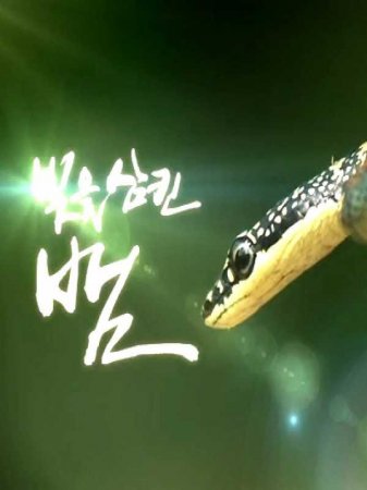 Змеи. Тайны самых смертоносных созданий на Земле (Змея, которая проглотила свет) (2017)