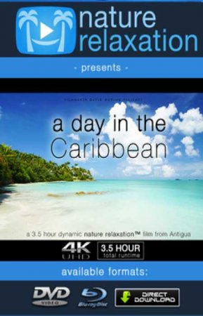 ВПН. День в Карибском бассейне (2018)