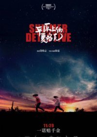 Летний детектив (2019)