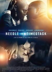 Иголка в стогу времени (2021)