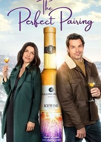 Идеальное сочетание (2022)